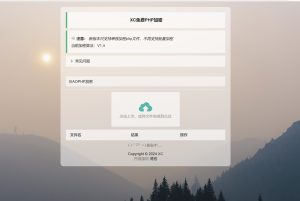 最新小猫咪PHP加密系统源码V1.41_本地API接口_带后台-XC资源网